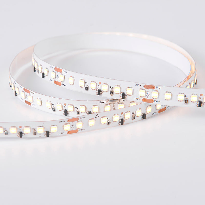 Striscia LED 24V Professional - 5 Metri, 18W/m, 2500lm/m