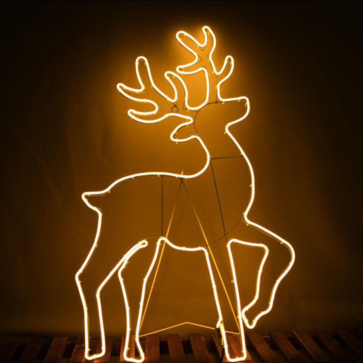 Renna luminosa natale